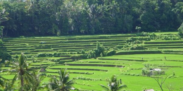 Indonesien Erlebnisreise | Tinta Tours Erlebnisreisen