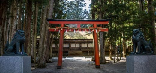Japan Gruppenreise | Tinta Tours Erlebnisreisen