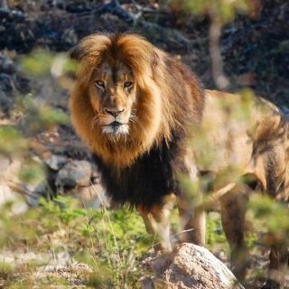 Simbabwe Gruppenreise | Tinta Tours Erlebnisreisen