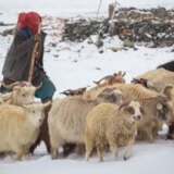 Indien Gruppenreise | Tinta Tours Erlebnisreisen