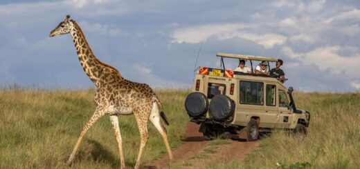 Kenia Gruppenreise | Tinta Tours Erlebnisreisen