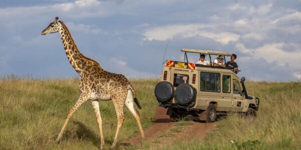 Kenia Erlebnisreise | Tinta Tours Erlebnisreisen