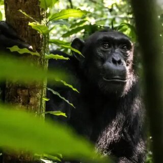 Kenia Gruppenreise | Tinta Tours Erlebnisreisen