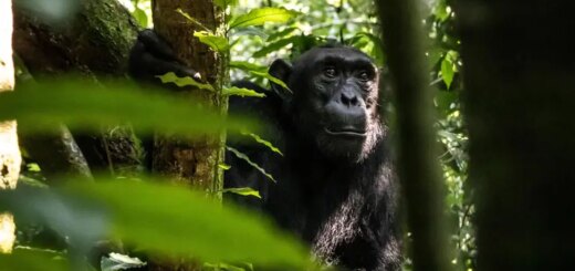 Kenia Gruppenreise | Tinta Tours Erlebnisreisen