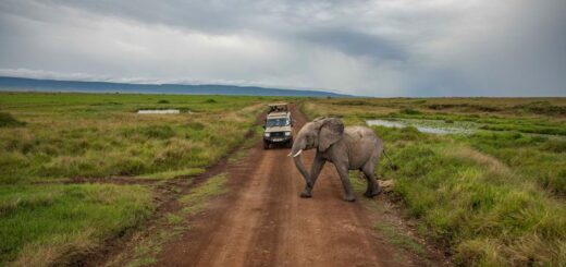 Tansania Gruppenreise | Tinta Tours Erlebnisreisen