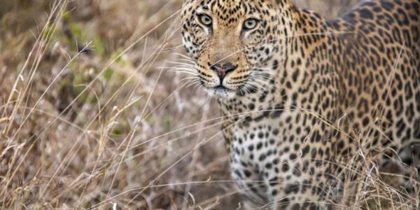 Südafrika Erlebnisreise | Tinta Tours Erlebnisreisen