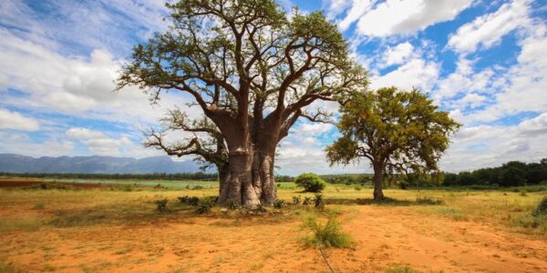 Südafrika Erlebnisreise | Tinta Tours Erlebnisreisen