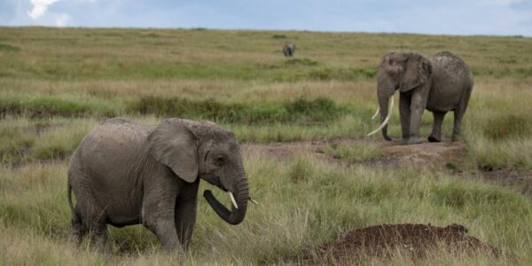 Kenia Erlebnisreise | Tinta Tours Erlebnisreisen