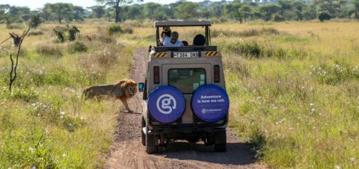 Kenia Gruppenreise | Tinta Tours Erlebnisreisen
