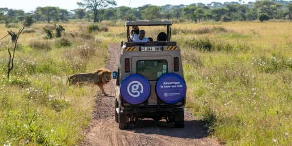 Kenia Erlebnisreise | Tinta Tours Erlebnisreisen