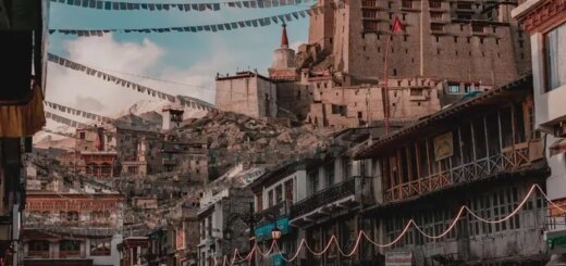 Indien Gruppenreise | Tinta Tours Erlebnisreisen