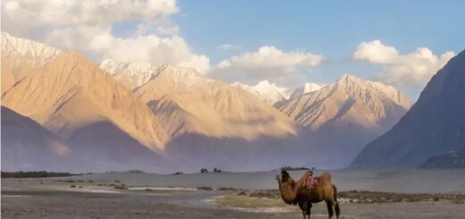 Indien Gruppenreise | Tinta Tours Erlebnisreisen