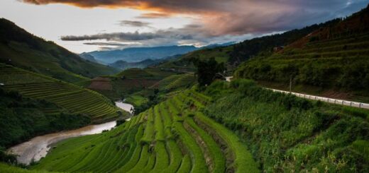 Vietnam Gruppenreise | Tinta Tours Erlebnisreisen