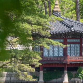 Südkorea Gruppenreise | Tinta Tours Erlebnisreisen