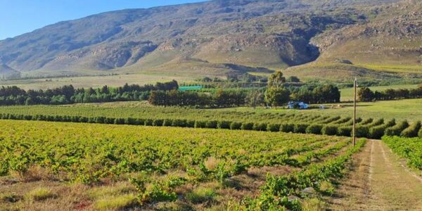 Südafrika Erlebnisreise | Tinta Tours Erlebnisreisen