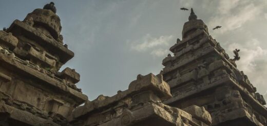 Indien Gruppenreise | Tinta Tours Erlebnisreisen