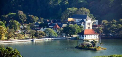 Sri Lanka Gruppenreise | Tinta Tours Erlebnisreisen