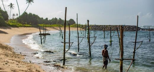 Sri Lanka Gruppenreise | Tinta Tours Erlebnisreisen