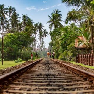 Sri Lanka Gruppenreise | Tinta Tours Erlebnisreisen