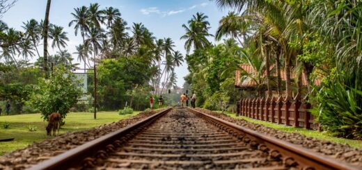 Sri Lanka Gruppenreise | Tinta Tours Erlebnisreisen