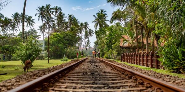 Sri Lanka Erlebnisreise | Tinta Tours Erlebnisreisen