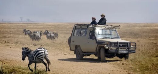 Tansania Gruppenreise | Tinta Tours Erlebnisreisen