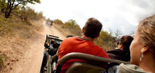 Botswana Gruppenreise | Tinta Tours Erlebnisreisen