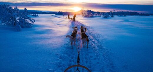 Finnland Gruppenreise | Tinta Tours Erlebnisreisen