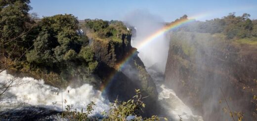 Botswana Gruppenreise | Tinta Tours Erlebnisreisen