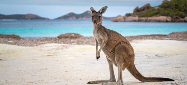 Australien Bahnreisen