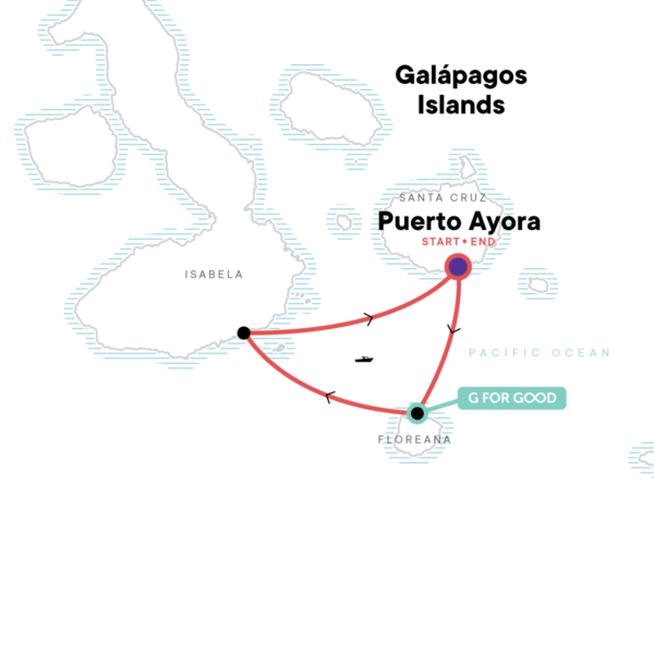 Classic-SEIG-map-2025-EN-48edb86.png