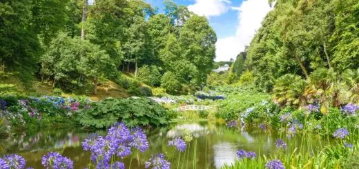 Trebah Garden - Elke Böhm - Erlebnisrundreisen.de