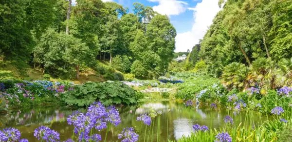 Trebah Garden - Elke Böhm - Erlebnisrundreisen.de