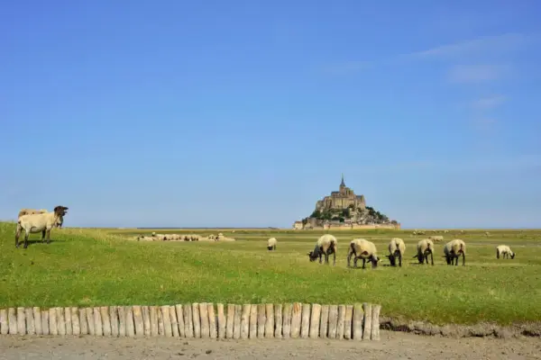 Landschaft zwischen Pontorson und Mont Saint-Michel - didier salou - © didier salou / Adobe.com - Erlebnisrundreisen.de
