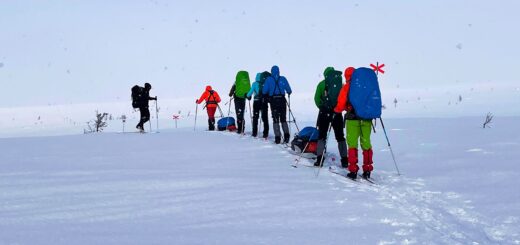 Back Country - Skiwandern im Fulufjäll Nationalpark Gruppenreise Norwegen