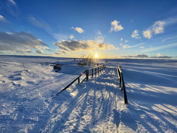 SE-Back-Country-Skiwandern-im-Fulufjaell-Nationalpark-9