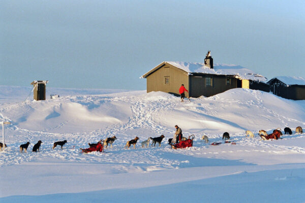 SE-Huskytour-7-Tage-im-Fulufjaell-Nationalpark-12