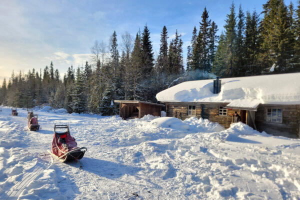 SE-Huskytour-7-Tage-im-Fulufjaell-Nationalpark-13