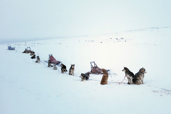 SE-Huskytour-7-Tage-im-Fulufjaell-Nationalpark-2