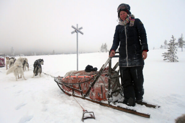 SE-Huskytour-7-Tage-im-Fulufjaell-Nationalpark-5