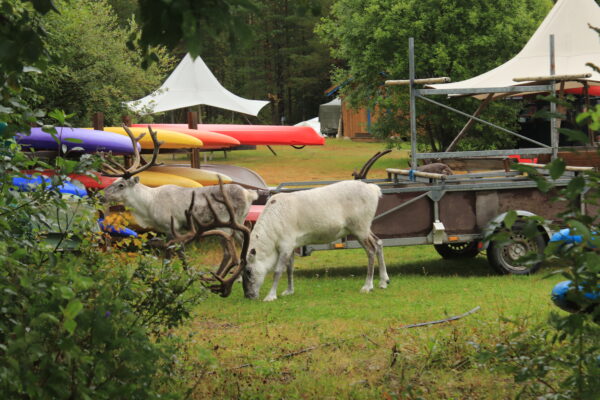 SE-Jugend-Wildniswoche-Fulufjaell-8