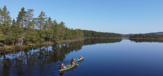 Kanutour Svartälven Gruppenreise
