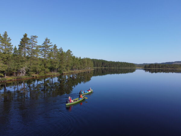 Kanutour Svartälven