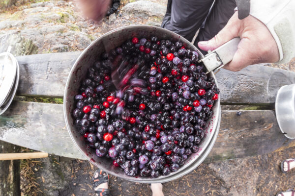 Blaubeeren und Preiselbeeren im Topf während einer Paddeltour im Naturreservat Glaskogen