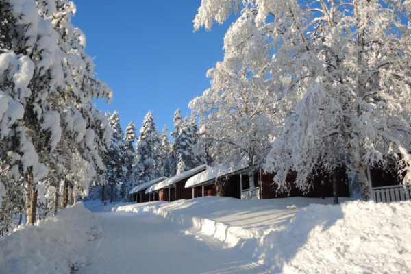 SE-Langlaufkurs-in-Schweden-2