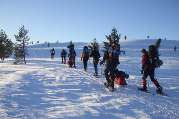 SE-Schneeschuh-Huettenwanderung-im-Fulufjaell-Nationalpark-1