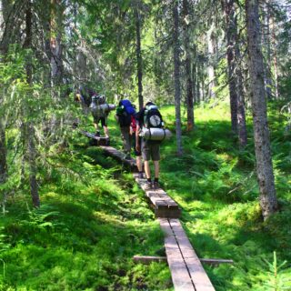 Wildniswoche Fulufjäll Gruppenreise