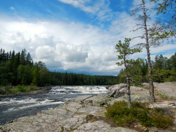SE-Wildwasser-Kajak-Schweden-Einsteigerkurs-Aufbaukurs-17
