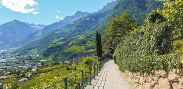Der Tappeinerweg in Meran - Ina Ludwig - © Ina Ludwig / Adobe.com - Erlebnisrundreisen.de