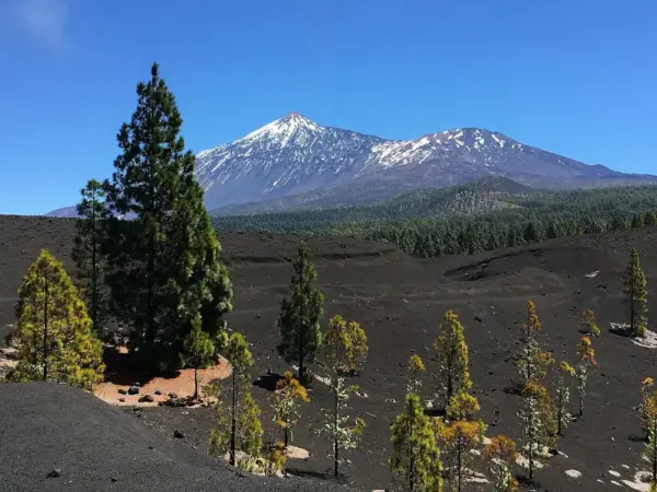 Durch die Vulkanlandschaft von Arenas Negras mit Blick auf den Teide - Michael Kreuzer - Erlebnisrundreisen.de